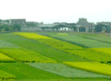 Biofuel trials Orkney College